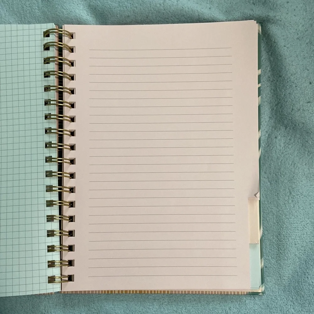 NWT 2 notebooks- 1 spiral ringed with paper tab sectioning and 1 bullet journal.